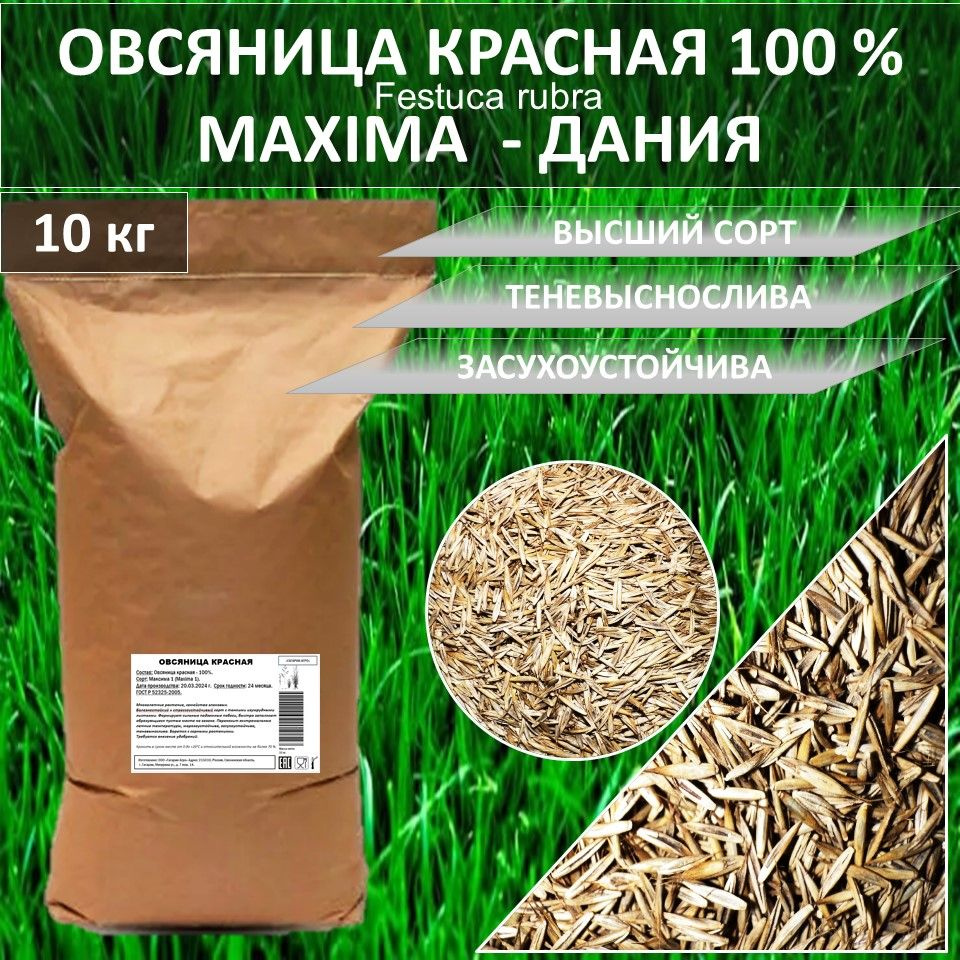 Газон 100 % Овсяница красная MAXIMA МАКСИМА 10кг газонная трава семена  #1