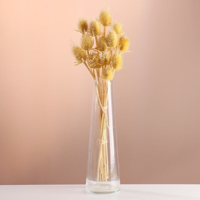 Сухоцветы для декора "Ворсянка" банч 7-8 шт, длина 50 (+/- 6 см) выбеленный  #1
