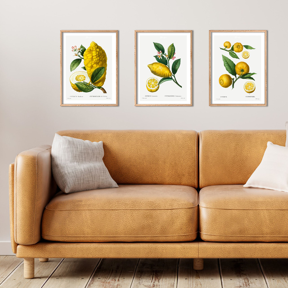 Bloomsson Постер "Набор ботаническая ретро-иллюстрация 3шт. Lemons / Лимоны", 40 см х 30 см  #1