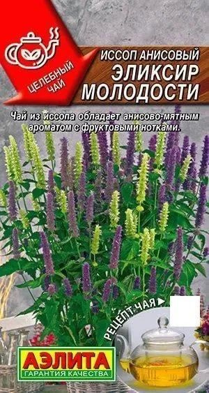 Семена Иссоп анисовый Эликсир молодости (0,05 г) - Агрофирма Аэлита  #1