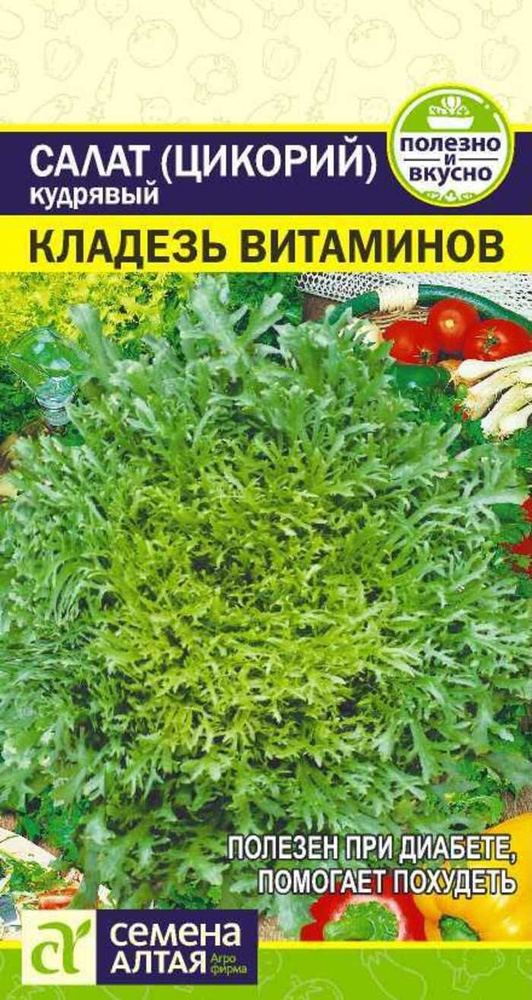 Семена Салат Эндивий Кладезь Витаминов 0,5 гр. #1