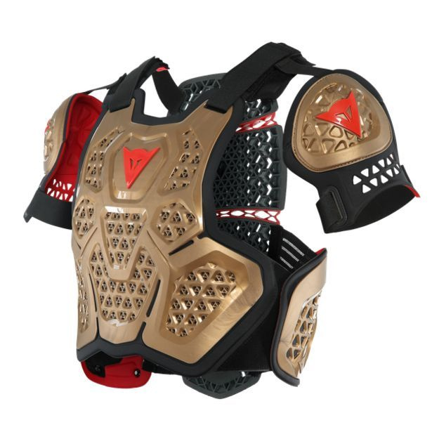 Защита тела Dainese MX1 Roost Guard #1