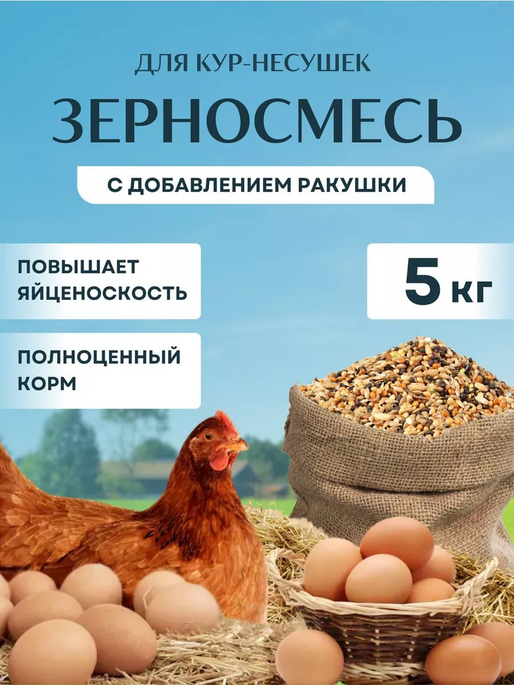 Зерновой корм с ракушкой для курей 5 кг #1