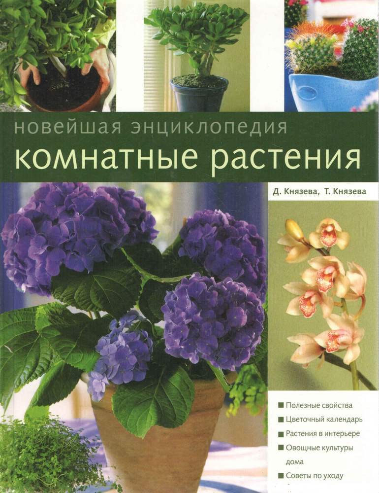 Комнатные растения. Новейшая энциклопедия | Князева Дарья, Князева Татьяна  #1