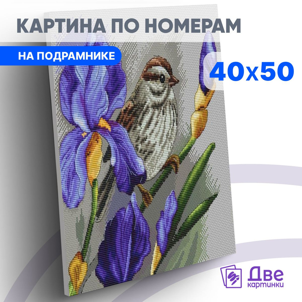 Картина по номерам 40х50 см на подрамнике "птичка на цветке ириса крупным планом" DVEKARTINKI  #1