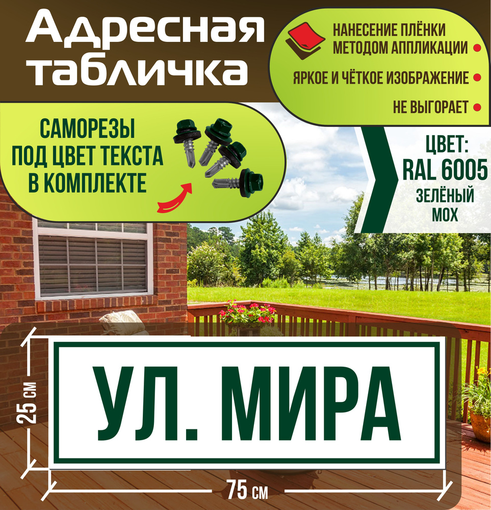 Адресная табличка на дом улица Мира RAL 6005 зеленая #1