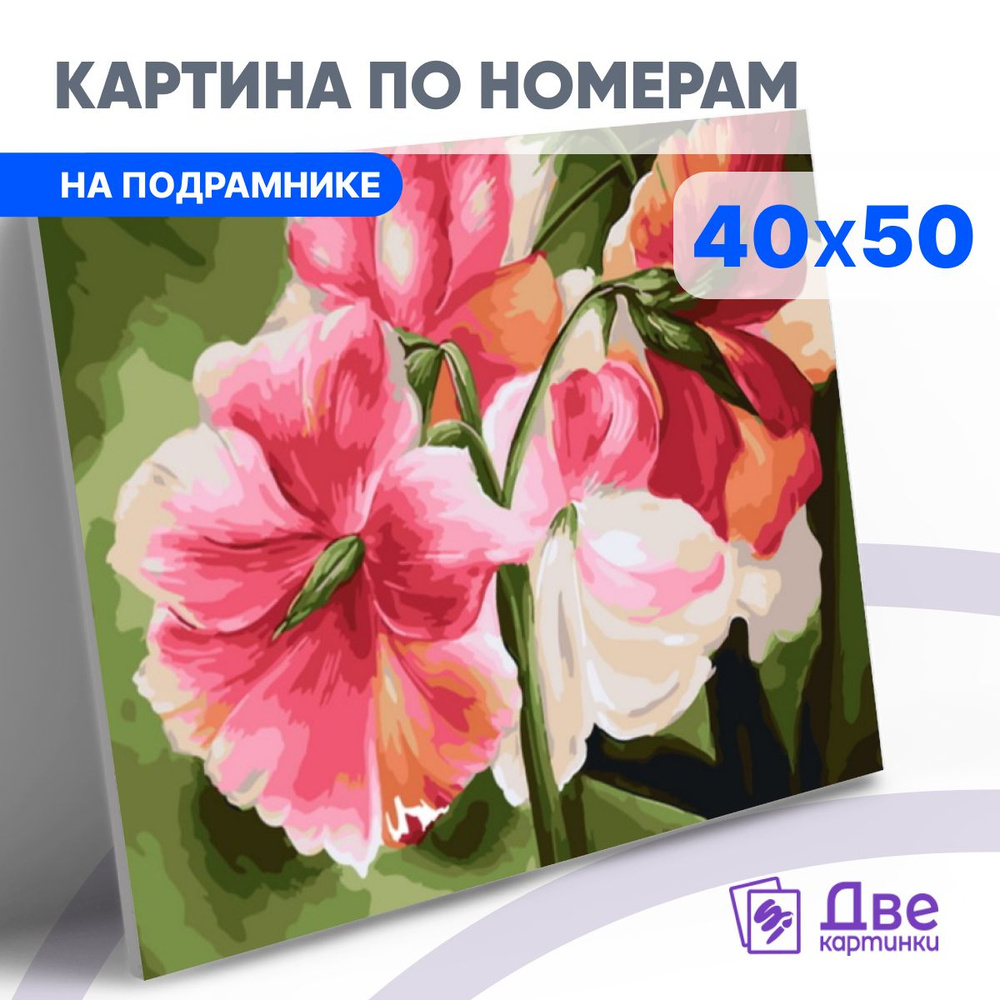 Картина по номерам на холсте 40х50 40 x 50 на подрамнике DVEKARTINKI  #1