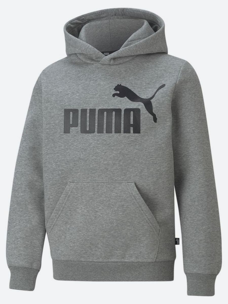 Худи PUMA Ess Big Logo Hoodie Fl B #1