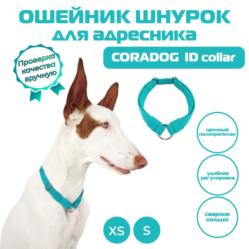 Ошейник шнурок для адресника, CORADOG ID collar, размер XS, бирюзовый  #1