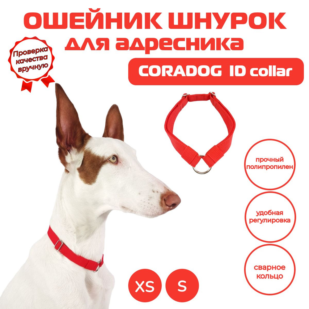 Ошейник шнурок для адресника, CORADOG ID collar, размер XS, красный  #1