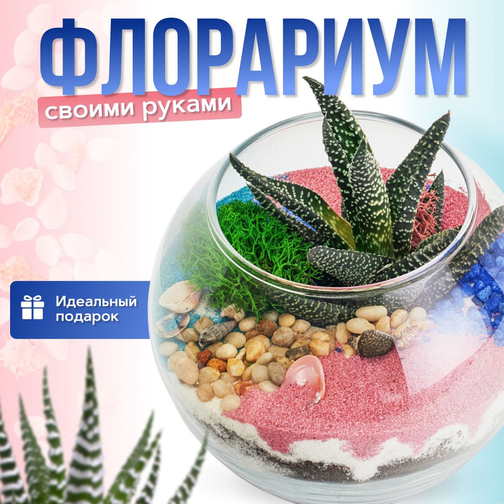 Флорариум своими руками (Шар 0,8л) #1