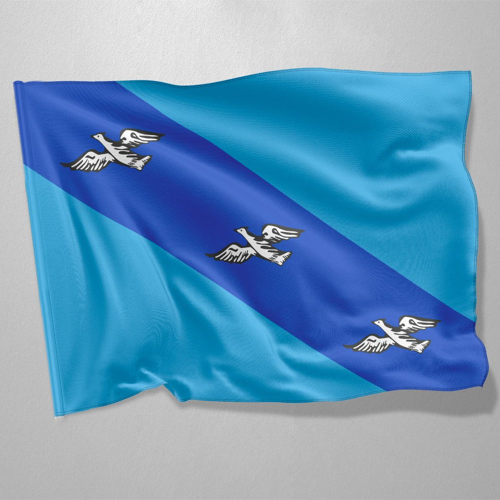Флаг Курска / Флаг города Курск / 90x135 см. #1