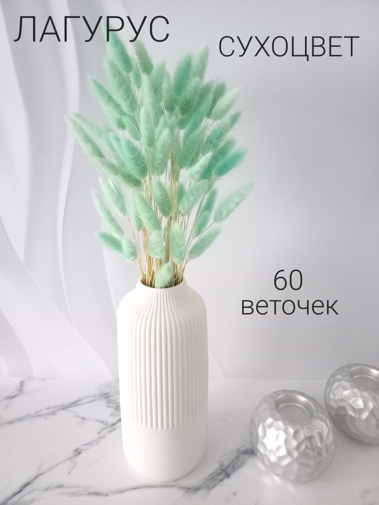 Букет из сухоцветов Лагурус, 60 шт, 100 гр, 50 см #1