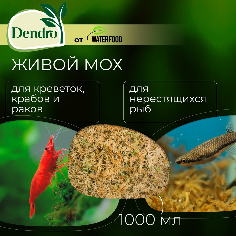 Живой мох для креветочника и нерестовика DENDRO от Water Food - корм для креветок, крабов и раков + укрытие #1