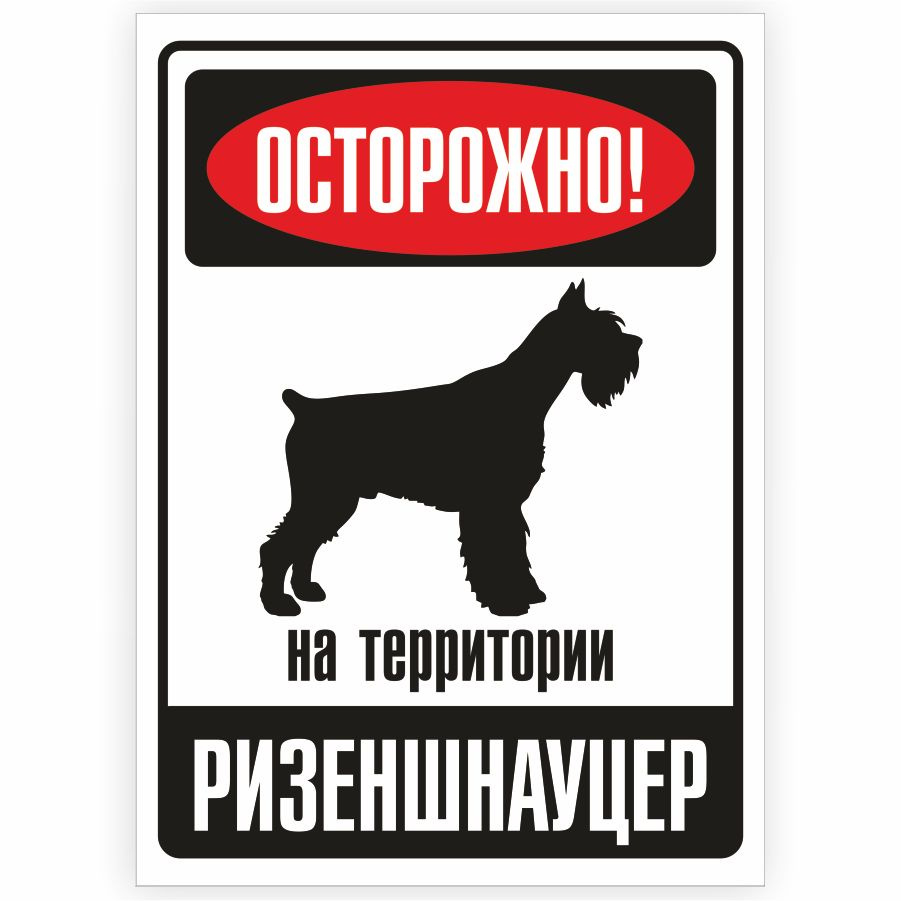 Табличка, металлическая, DANGER DOG, Осторожно! На территории Ризеншнауцер, 18x25 см  #1