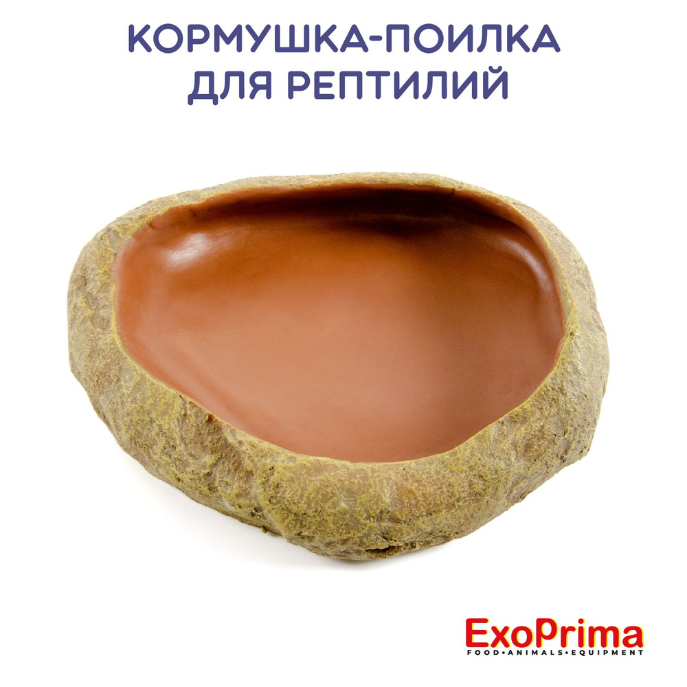 Кормушка - поилка для рептилий EXOPRIMA, 17,5х14,5х4см #1