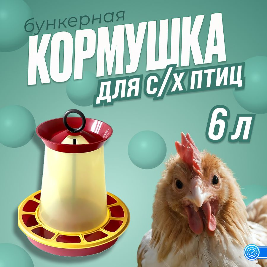 Кормушка Бункерная 10л для птиц, кур, несушек, индюков #1