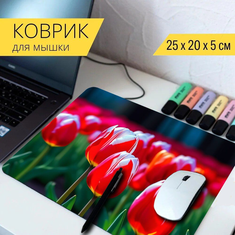 LotsPrints Коврик для мыши poc-PLACES-TULIP-1563, разноцветный #1