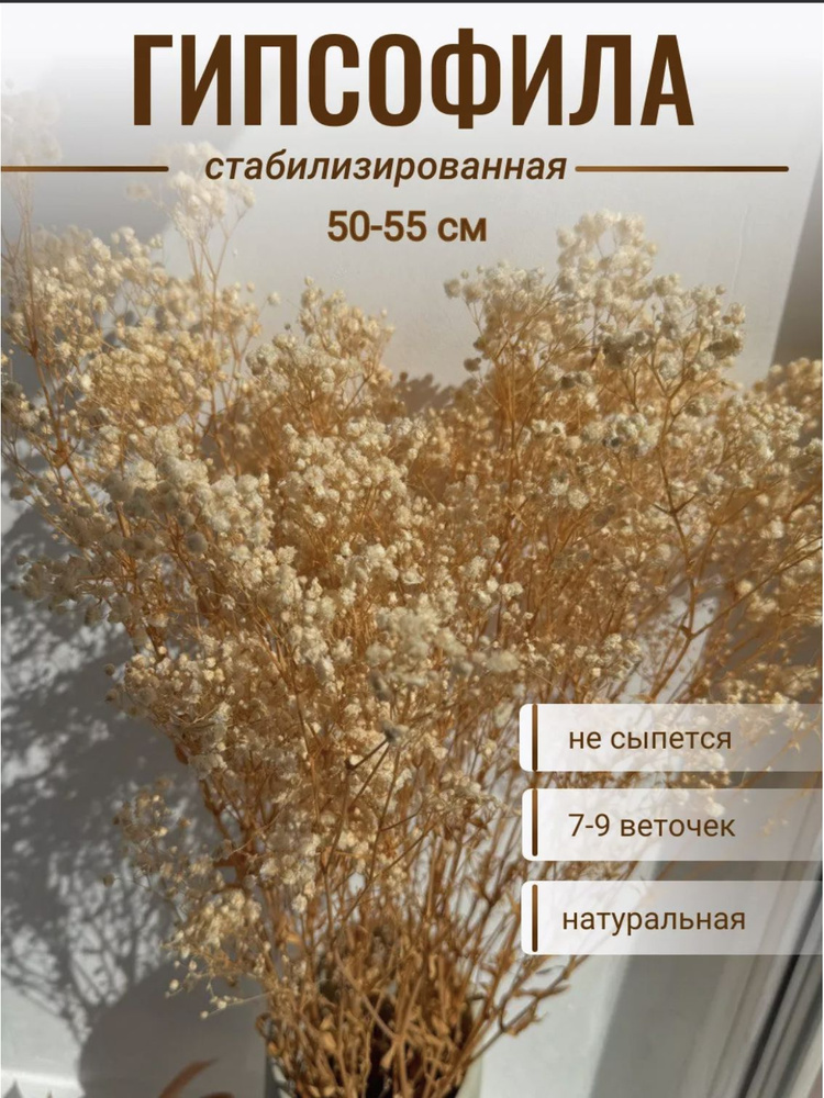 CRISPA FLOWERS Стабилизированные цветы Гипсофила, 50 см, 9 шт #1