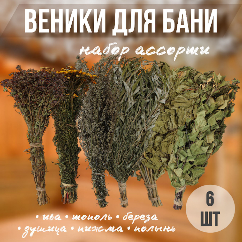 Веник для бани Березовый, Душица, 6 шт.  #1