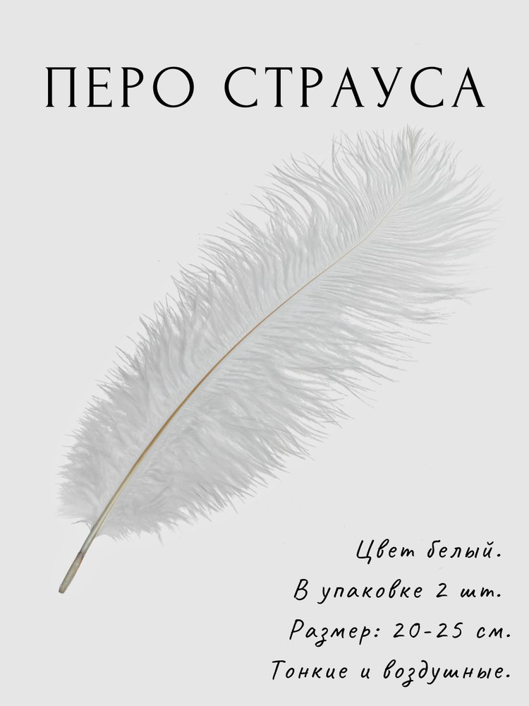 Перо страуса для декора и творчества. 20-25 см. 2 шт. Белый. #1