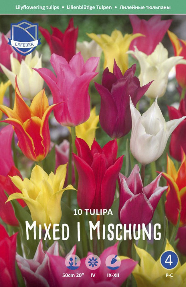 Тюльпан лилиецветный смесь (Tulipa Lily-flowered Mixed), 10 шт (разбор 12/14)  #1