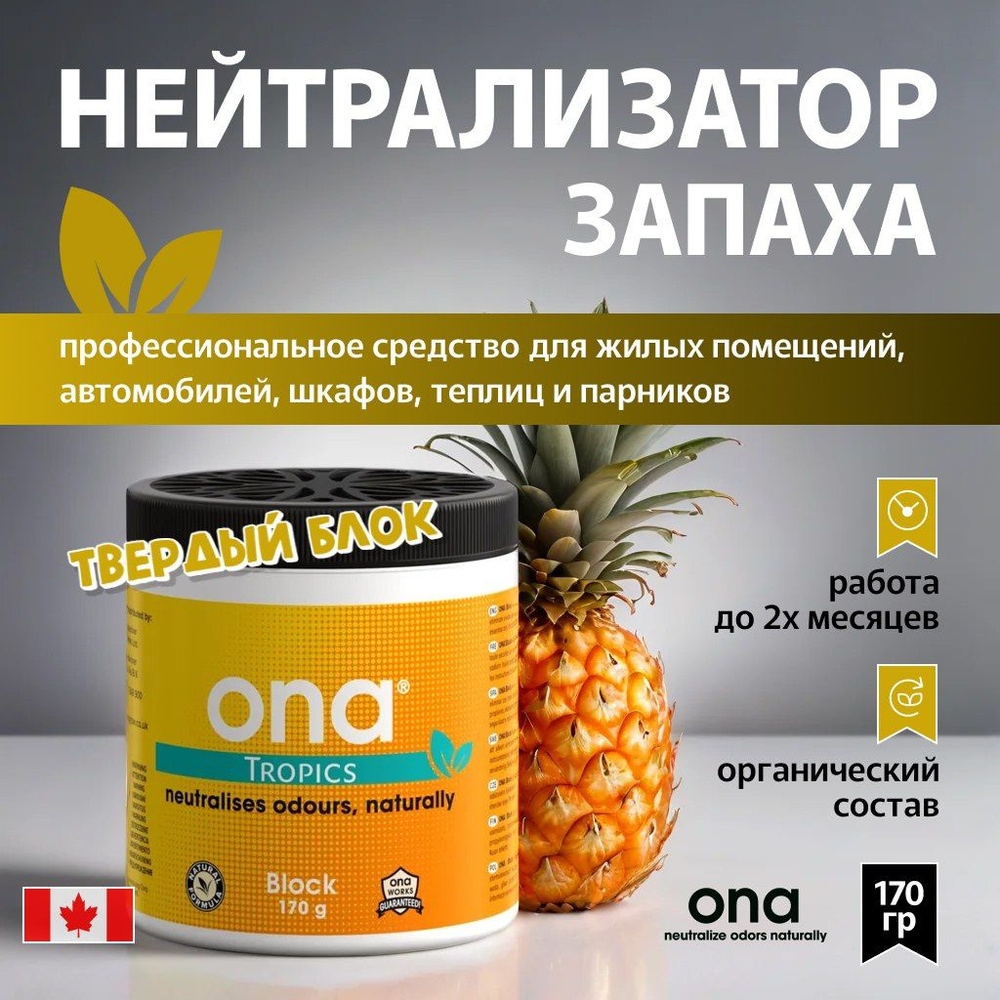 Нейтрализатор запахов ONA Block Tropics 170 г. #1