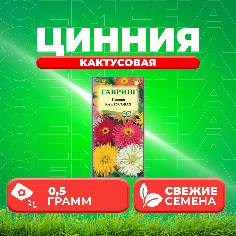 Цинния Кактусовая, смесь, 0,5г, Гавриш, Цветочная коллекция (1 уп)  #1