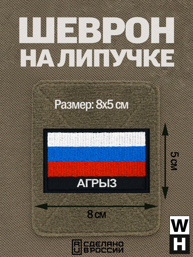 Шеврон Агрыз на липучке флаг России #1