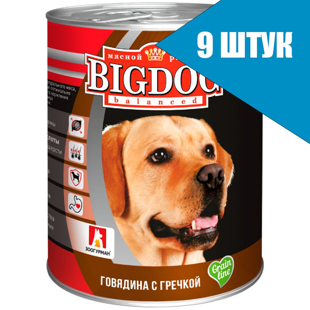 Зоогурман BIG DOG для собак Говядина с гречкой, консервы 850г (9 банок)  #1