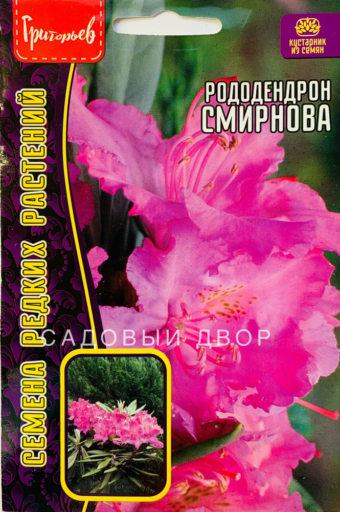 Рододендрон Смирнова, семена 10 шт, 1 пакет, ЧК #1