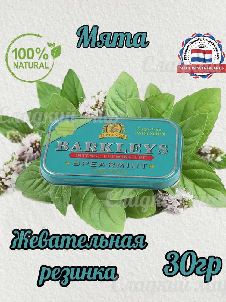 Жевательная резинка Barkleys Mints Мята (Барклайс ), 30 гр #1