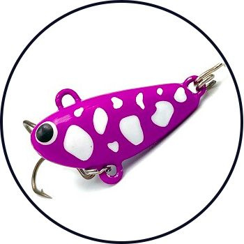 Purple Salamander