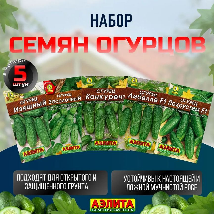 Семена огурцов