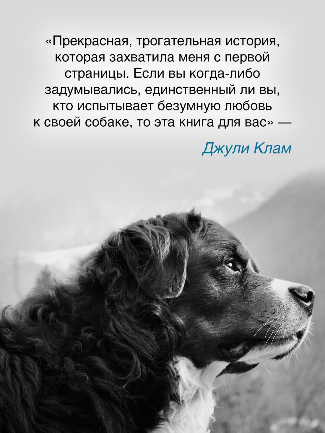 Его запах после дождя | His Scent After the Rain - Ozon image 4