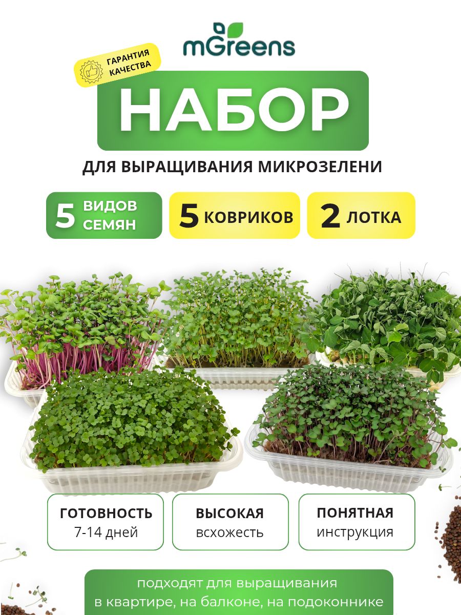 Набордлявыращиваниямикрозелени