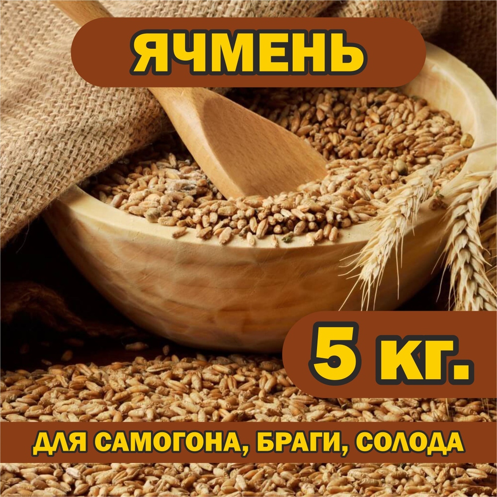 Ячмень 5 кг. для самогона, браги, солода, брожения, проращивания.  #1