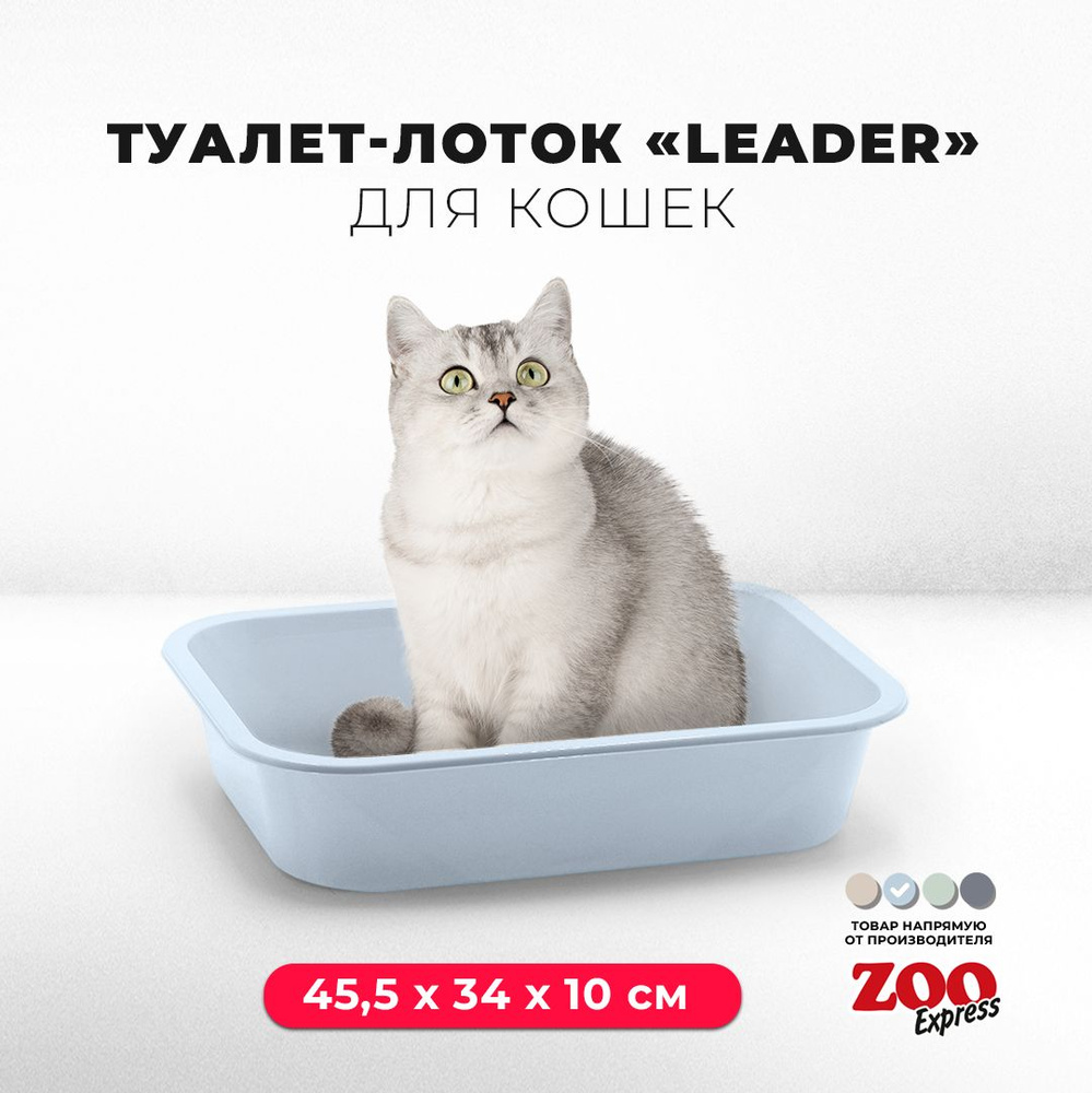 Туалет-лоток для кошек ZOOexpress LEADER, 45,5х34х10 см, светло-голубой  #1