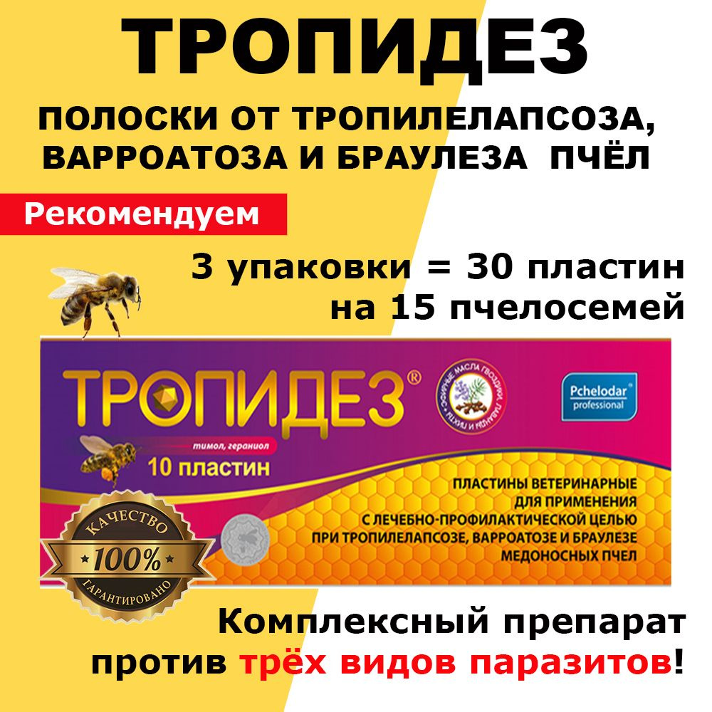 3 упаковки Тропидез пластины / полоски от тропилелапсоза, варроатоза и браулеза пчёл / 30 пластин на #1