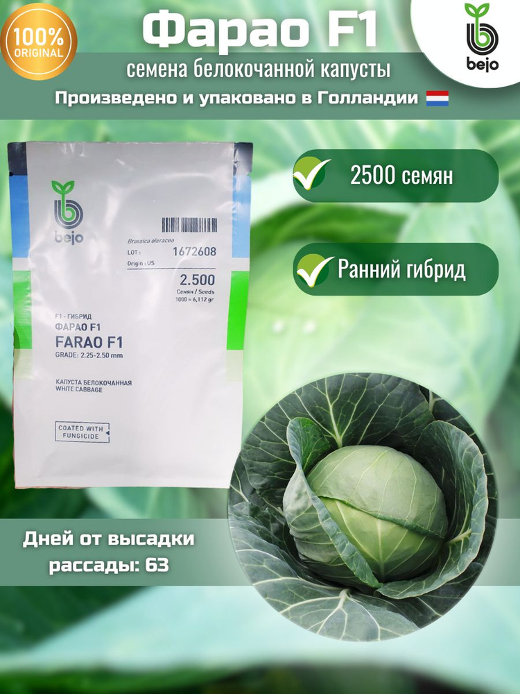 Seminis Семена ,2500шт #1