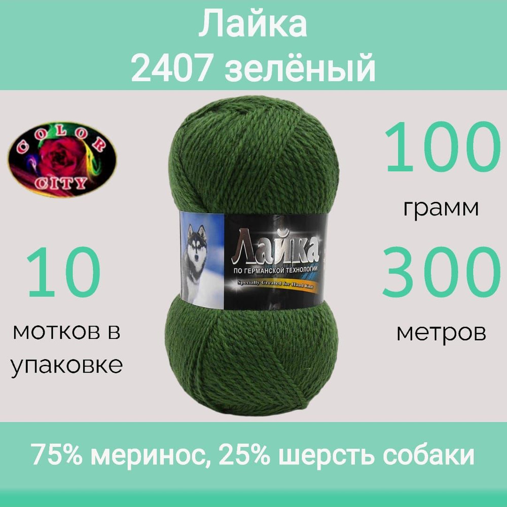 Пряжа Color City Лайка цвет 2407 зелёный (100г/300м, упаковка 10 мотков)  #1