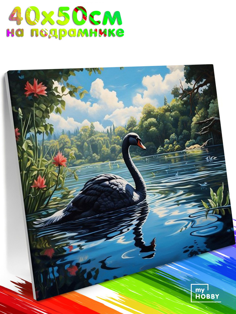 Картина по Номерам на Холсте 40х50 см Colibri Черный Лебедь Птицы Пейзаж С Подрамником для Детей и Взрослых #1