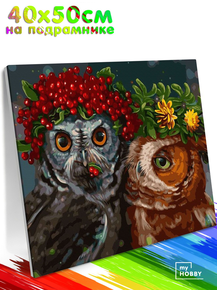 Картина по Номерам на Холсте 40х50 см Colibri Совы с Цветами Птицы С Подрамником для Детей и Взрослых #1