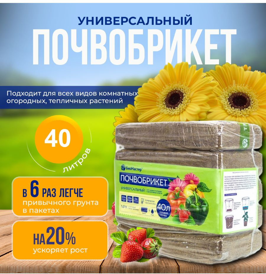 БиоМастер Грунт ,40л #1