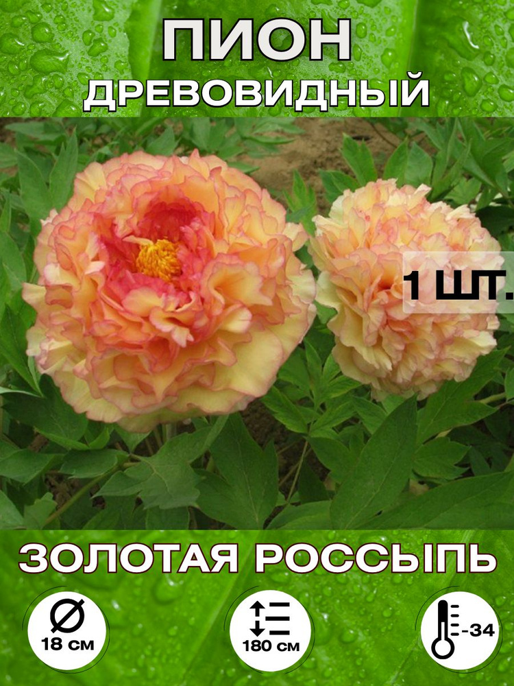 Magic Blooming Garden Семена ,1шт #1