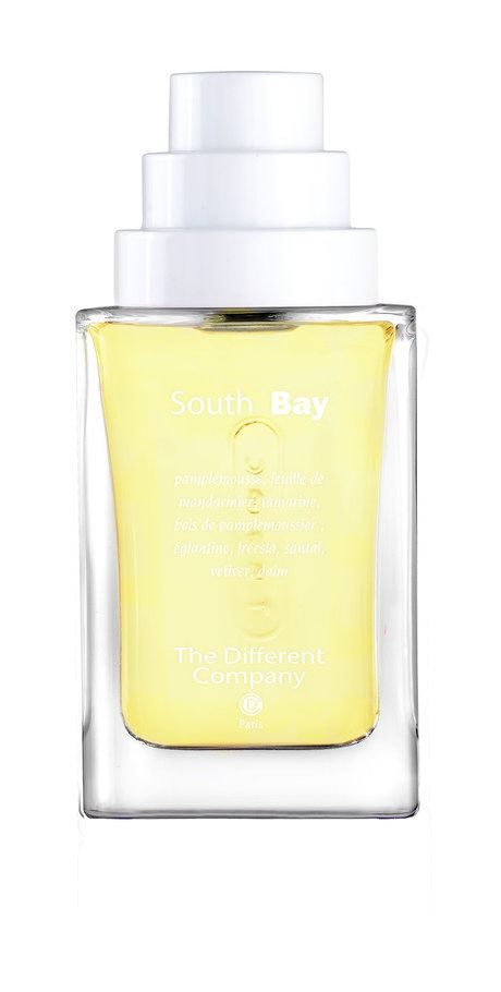 Туалетная вода South Bay Eau de Toilette, 100 мл #1