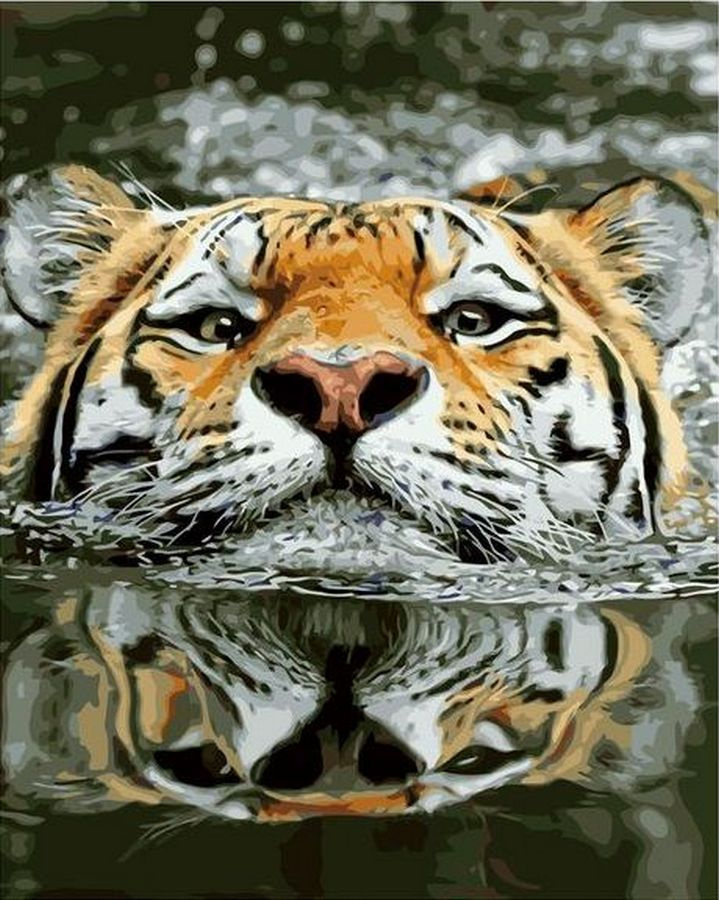 Картина по номерам 40х50 на холсте тигр 40х50 #1