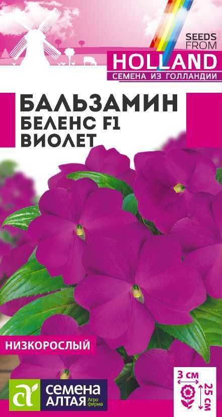 Семена Бальзамин Беленс Виолет (4 шт) - Семена Алтая #1