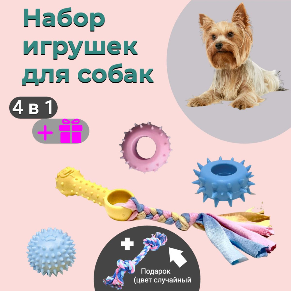Набор игрушек для собак и щенков / 4 + 1 / Подарочный набор  #1