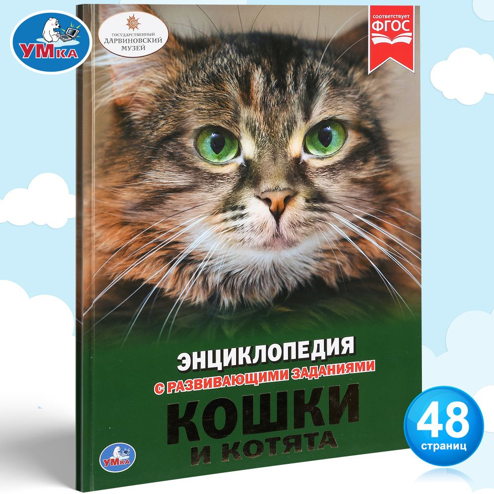 Энциклопедия для детей Кошки и котята Умка | Хомякова К.  #1